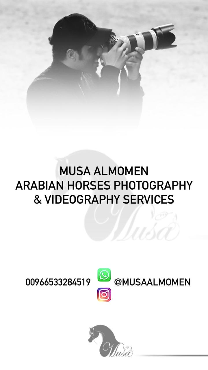 مصور ميديا – Musa AlMomen