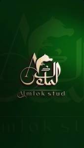 مربط الملوك للخيل العربي الاصيل حاصل علع العديد من الجوائز وجائزة المزرعة الرائدة